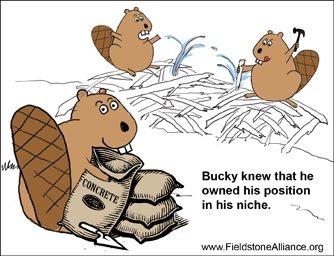 find marketing niche - cartoon with beavers fixing a leaky dam