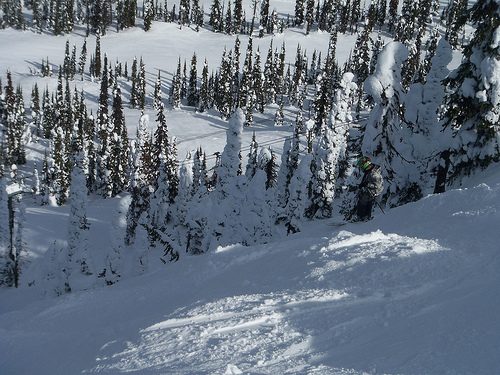 black diamond ski run photo - showing courage